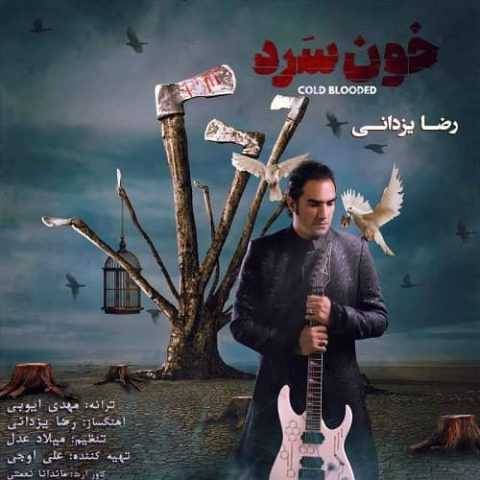دانلود آهنگ جدید رضا یزدانی خون سرد